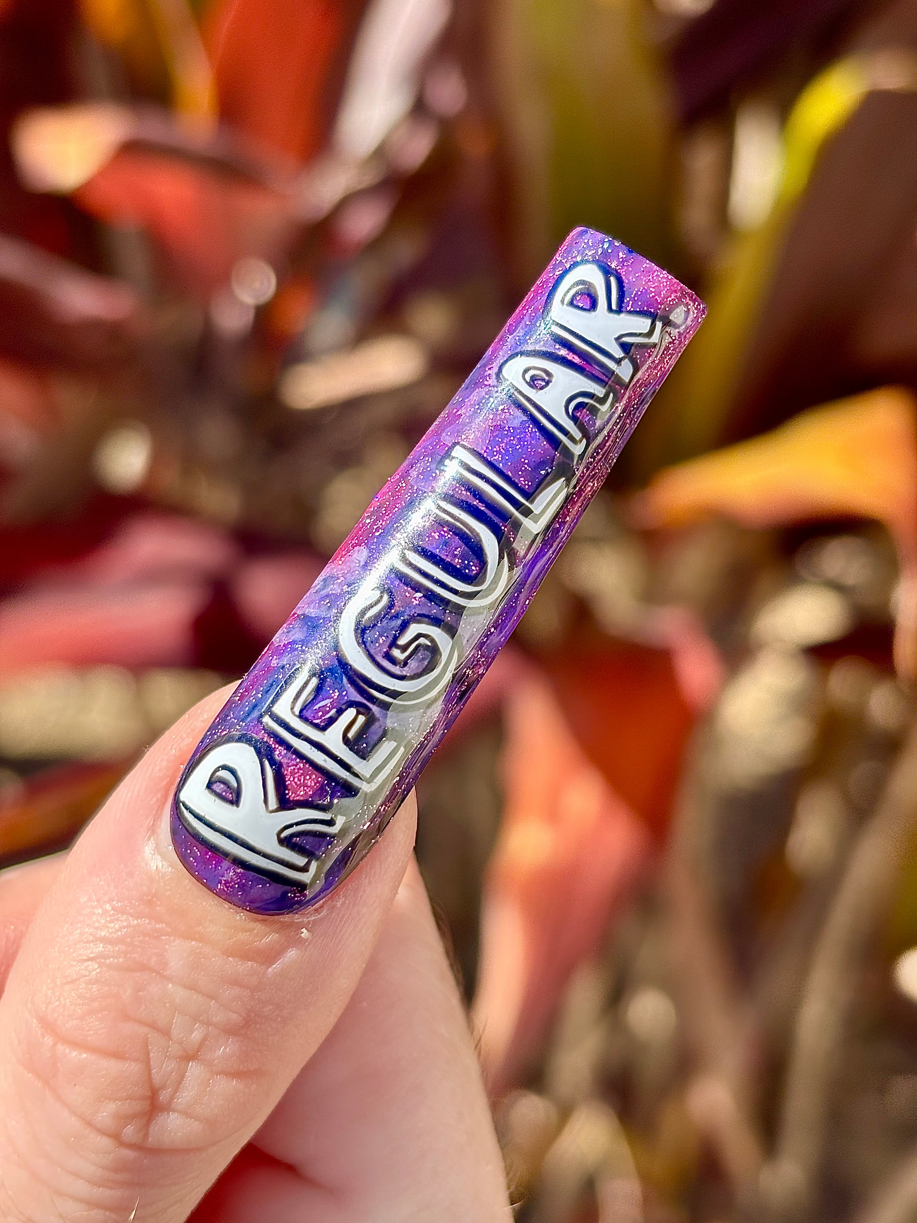 REGULAR SHOW Press On Nails